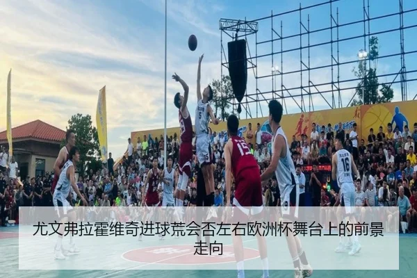 尤文弗拉霍维奇进球荒会否左右欧洲杯舞台上的前景走向